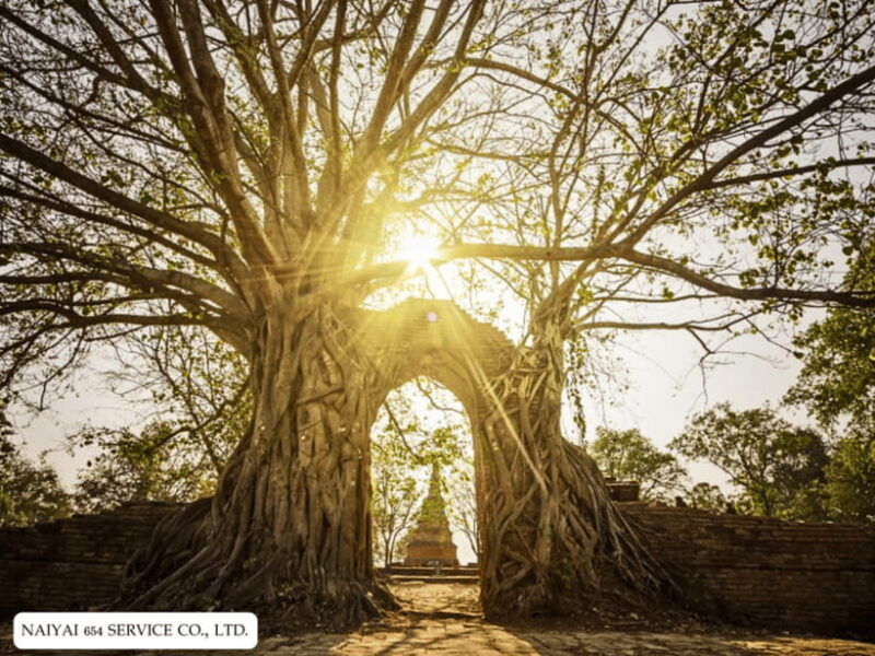 temple-visits-in-ayutthaya-and-a-walk-through-history