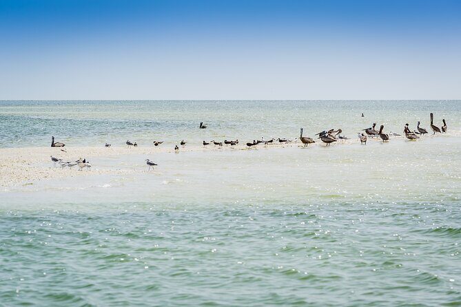 Ten Thousand Island Jet Ski Eco Tour - Marco Island - The Sum Up