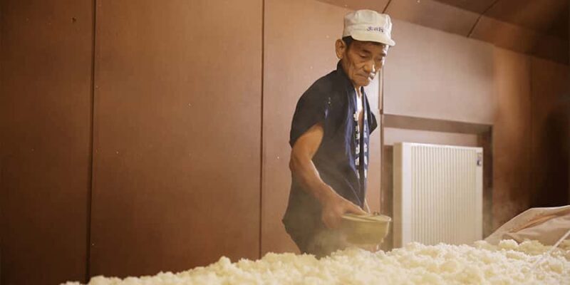 Tendo City: Dewazakura Sake Brewery Tour and Tasting - Exploring Dewazakura Sake Brewery: An Authentic Journey