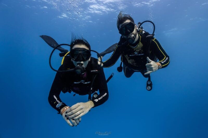 tenerife-2-guided-dives-for-certified-divers-half-day
