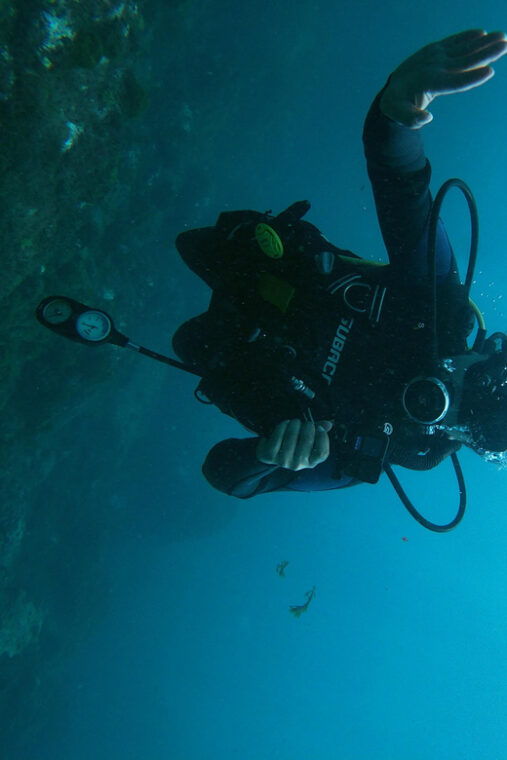 tenerife-2-guided-dives-for-certified-divers-half-day