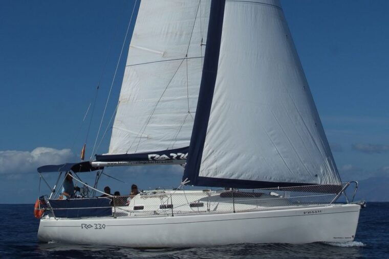 tenerife-3-6-hour-private-whale-dolphin-watching