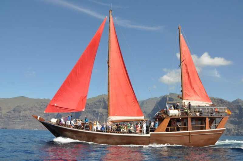 tenerife-5-hour-whales-and-dolphins-tour