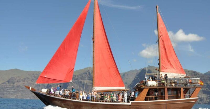 tenerife-5-hour-whales-and-dolphins-tour