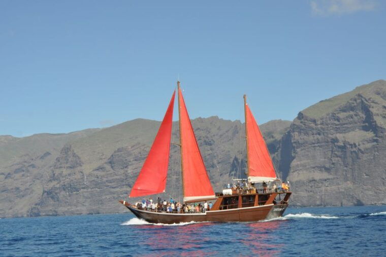 tenerife-5-hour-whales-and-dolphins-tour