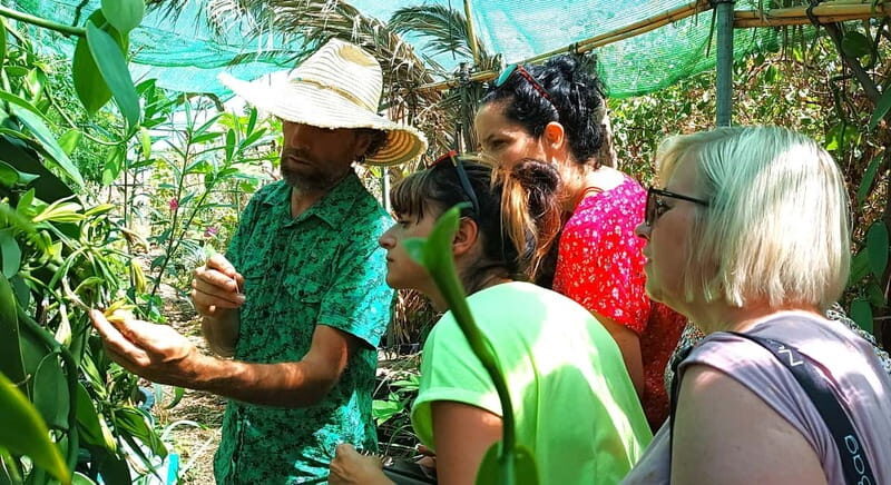 Tenerife: A tour in a food forest and a vanilla cultivation - What to Expect on the Vanilla and Food Forest Tour