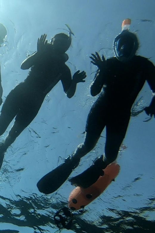 tenerife-alcala-guided-snorkeling-tour