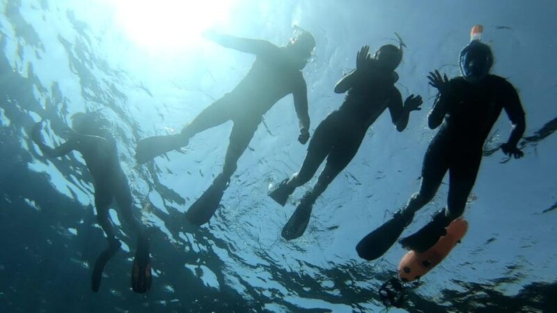 tenerife-alcala-guided-snorkeling-tour