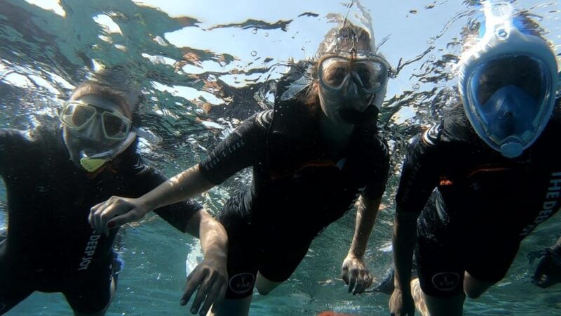tenerife-alcala-guided-snorkeling-tour