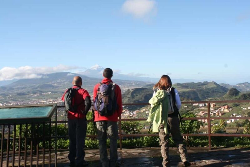 Tenerife: Anaga and La Laguna VIP Tour - Key Points