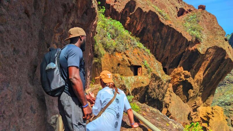 Tenerife: Anaga Hiking Tour & Enchanted Forest with Pickup - Key Points