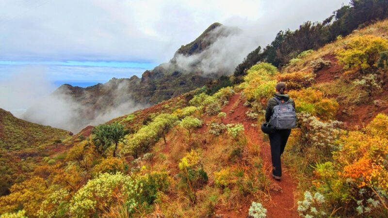 Tenerife: Anaga Hiking Tour & Enchanted Forest with Pickup - An In-Depth Look at the Experience
