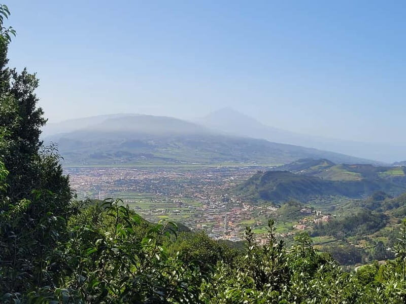 Tenerife Anaga Mountains: Circular hike in the laurel forest - Who is this hike best suited for?