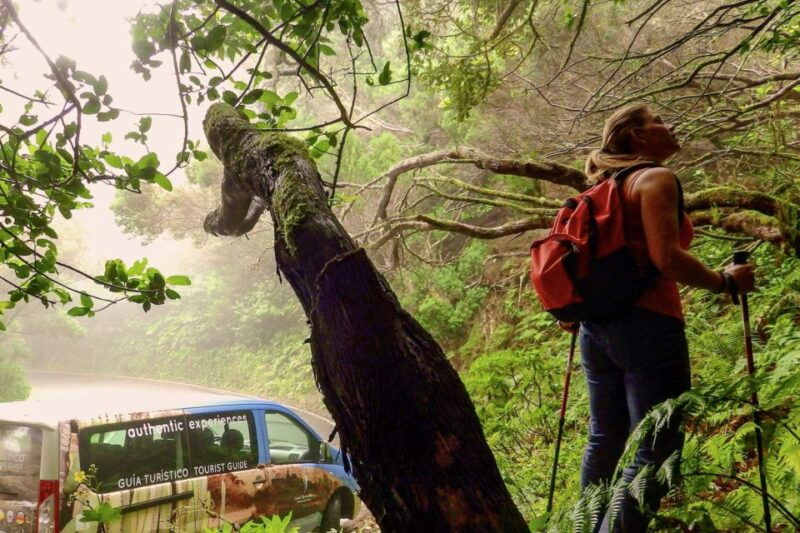 tenerife-anaga-rural-park-private-tour