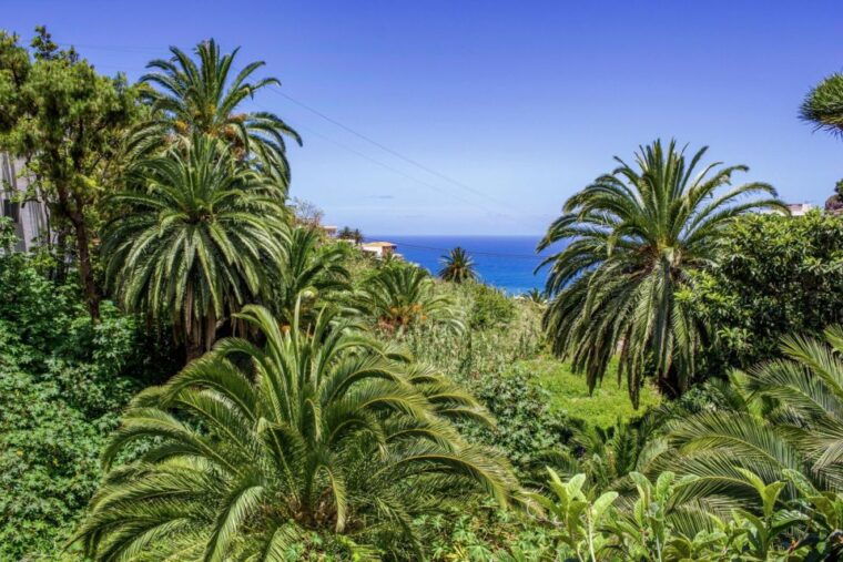 tenerife-anaga-rural-park-private-tour