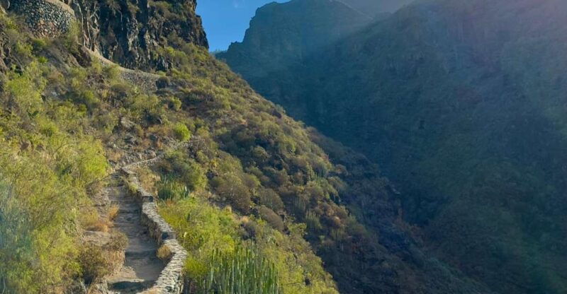 tenerife-barranco-del-infierno-guided-hiking-tour