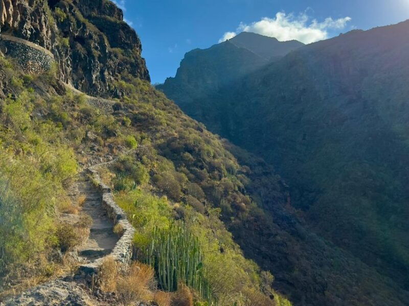 tenerife-barranco-del-infierno-guided-hiking-tour