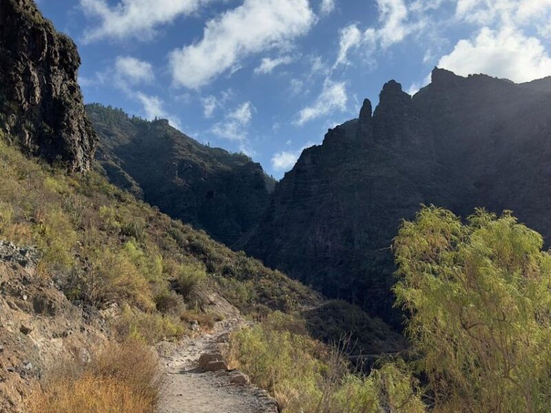 tenerife-barranco-del-infierno-guided-hiking-tour