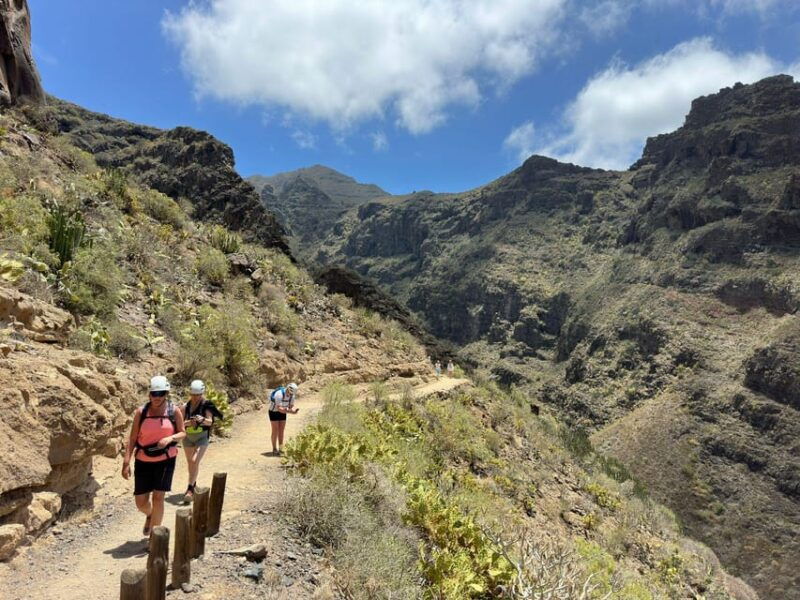 tenerife-barranco-del-infierno-guided-hiking-tour