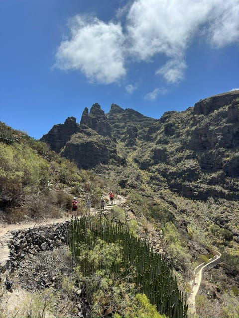tenerife-barranco-del-infierno-guided-hiking-tour