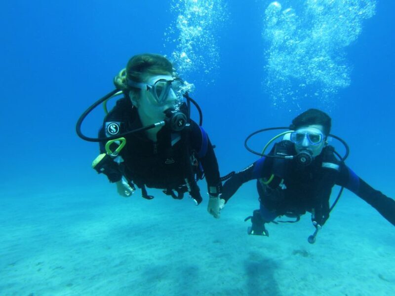 Tenerife: Beginner Scuba Dive Experience with Small Groups - Final Thoughts: Is It Worth It?