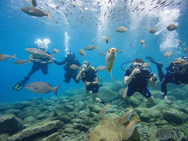 Tenerife: Beginner Scuba Diving Experience with Pickup - What’s Included & Why It Matters