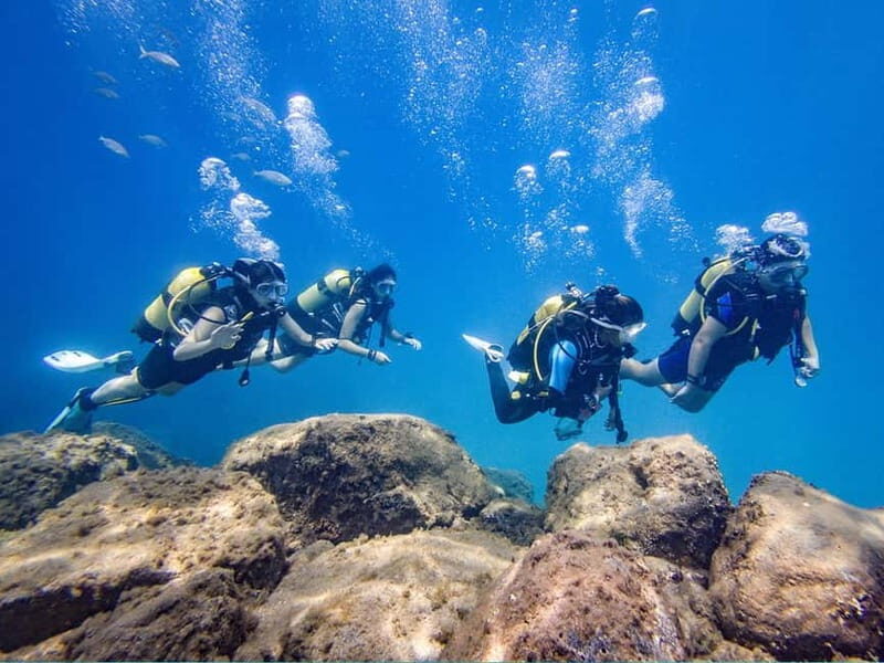 Tenerife: Beginner Scuba Diving Experience with Pickup - Who Would Love This Experience?