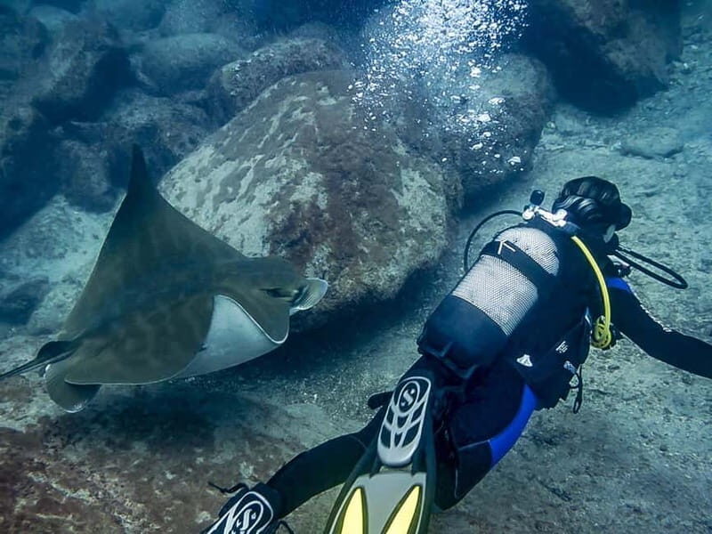 Tenerife: Beginner Scuba Diving Experience with Pickup - The Sum Up