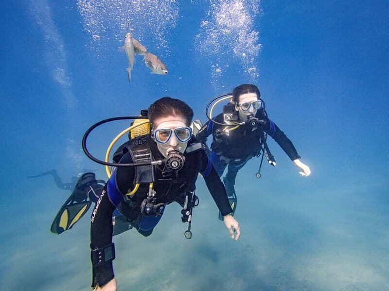Tenerife: Beginner Scuba Diving Experience with Pickup - FAQ