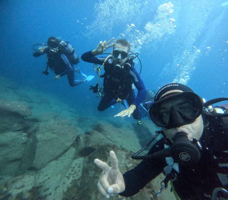 tenerife-beginners-dive-at-a-spot-with-turtle-sightings