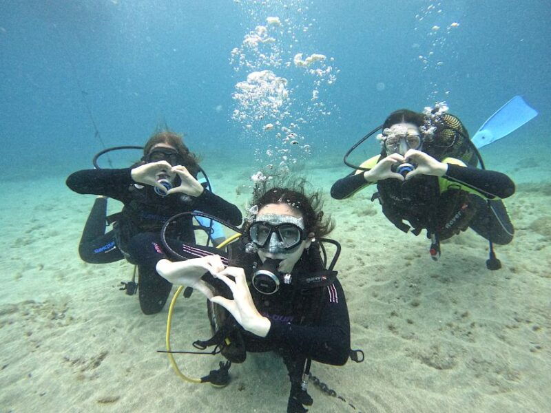 tenerife-beginners-dive-at-a-spot-with-turtle-sightings