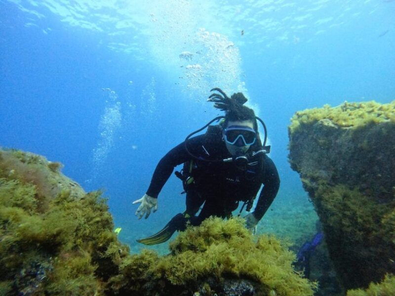 tenerife-beginners-dive-at-a-spot-with-turtle-sightings