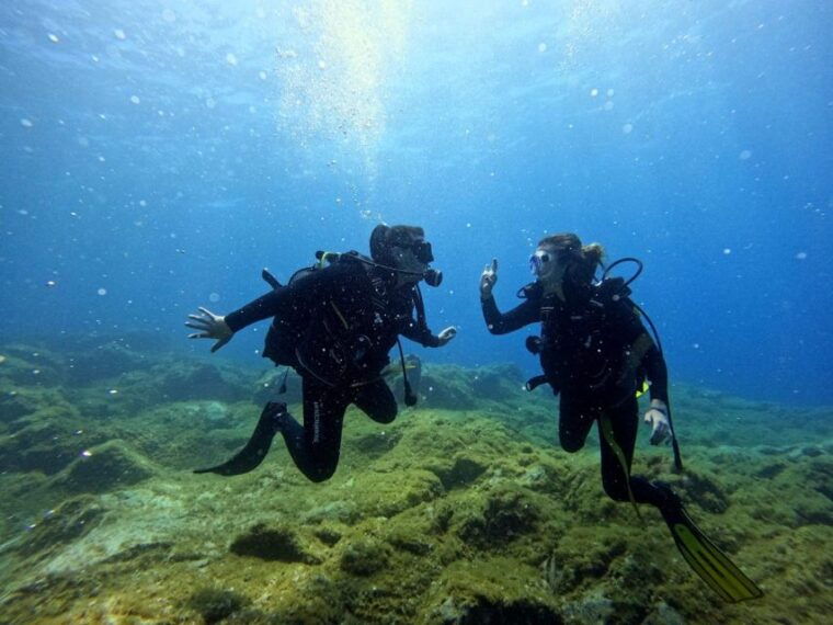 tenerife-beginners-dive-at-a-spot-with-turtle-sightings