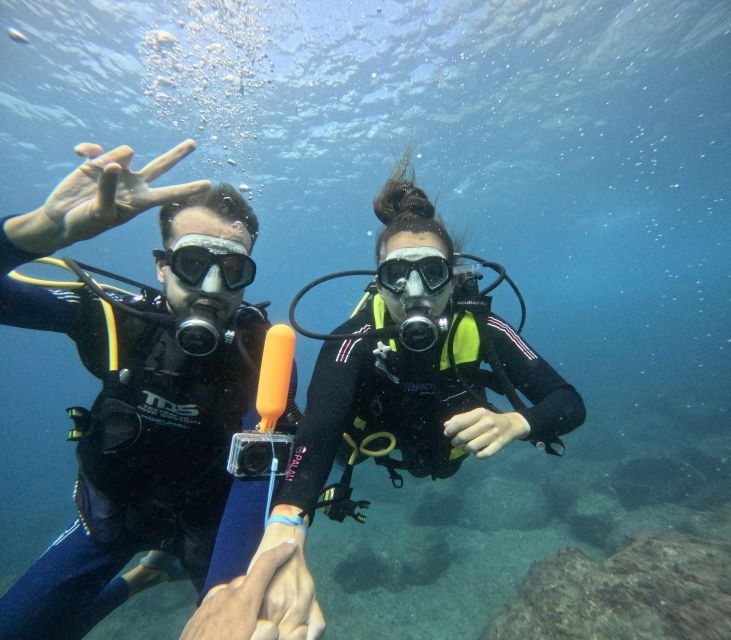 tenerife-beginners-dive-at-a-spot-with-turtle-sightings