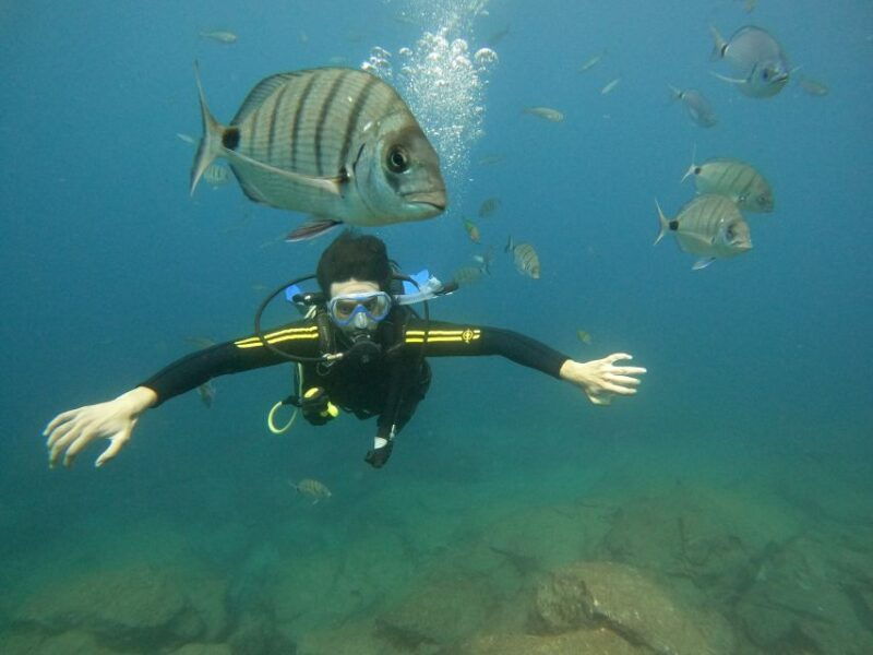 tenerife-beginners-scuba-dive-experience-in-turtle-area