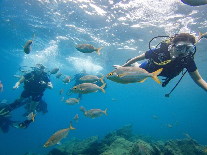 tenerife-beginners-scuba-diving-experience