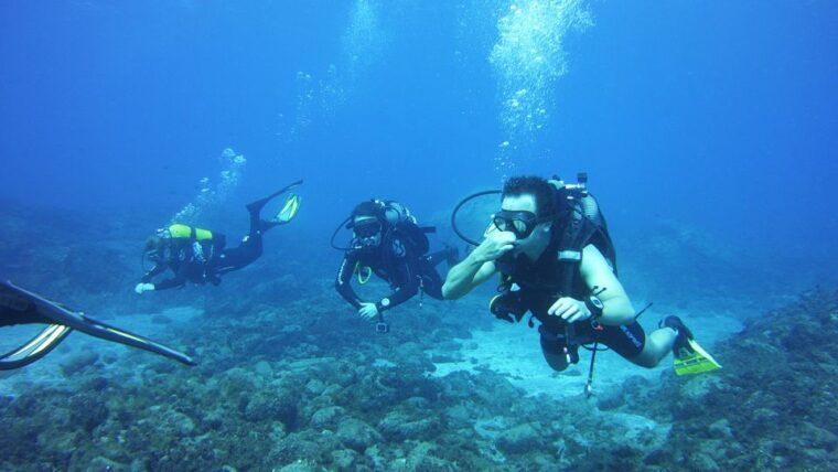 tenerife-beginners-scuba-diving-experience