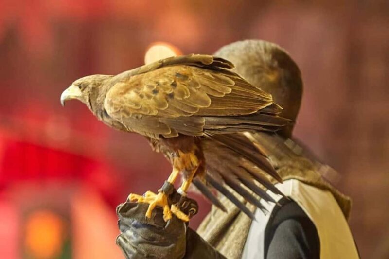 Tenerife: Castillo San Miguel Medieval Show and Banquet - An Evening of Medieval Magic in Tenerife