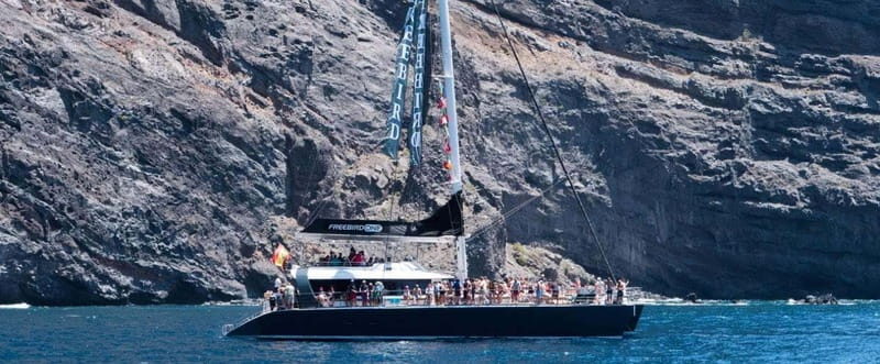 Tenerife: Catamaran Cruise with an Open Bar - Key Points