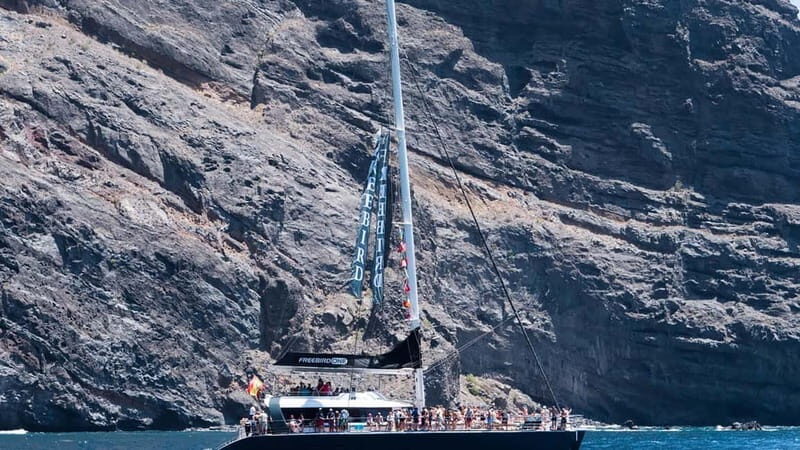 Tenerife: Catamaran Cruise with an Open Bar - Who is This Tour Best For?