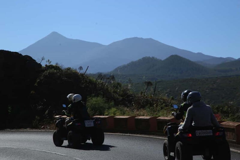 Tenerife: Coastal Sights to Woodland Heights Quad Tour - Into the Pines: The Forested Return