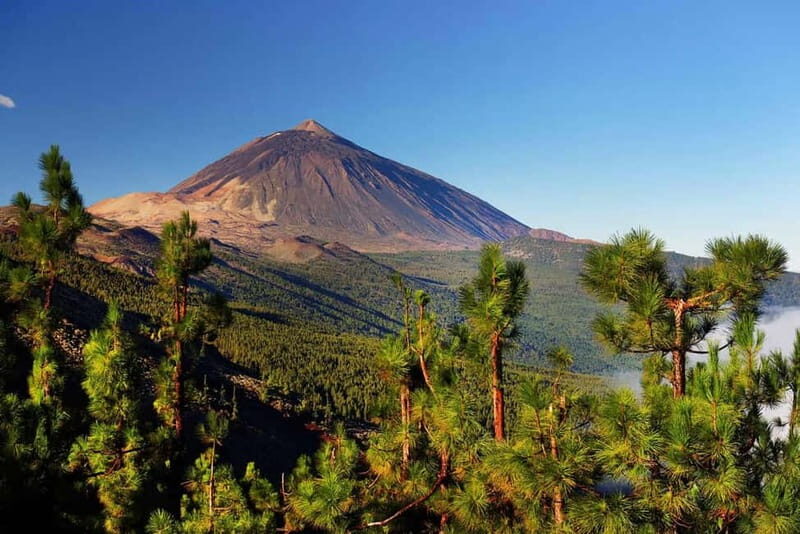 Tenerife: Combo Jet Ski & Quad Experience - Exploring Tenerife’s Coasts and Mountains: A Detailed Breakdown