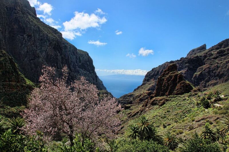 tenerife-complete-island-tour-with-masca
