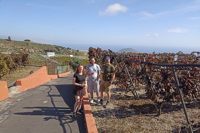 Tenerife Culture, History and Wine Private Tour - FAQ