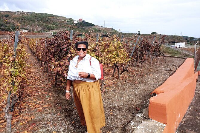 Tenerife Culture, History and Wine Private Tour - Final Thoughts
