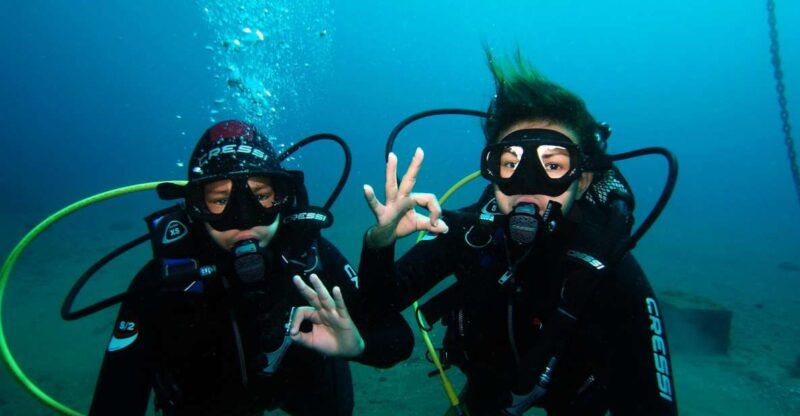 tenerife-discover-scuba-diving-with-free-photos