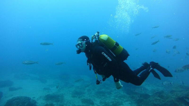 tenerife-discover-scuba-diving-with-free-photos