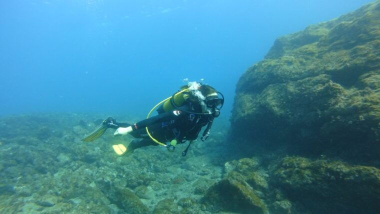 tenerife-discover-scuba-diving-with-free-photos