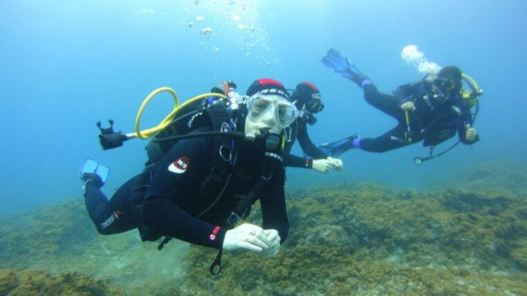 tenerife-discover-scuba-diving-with-free-photos
