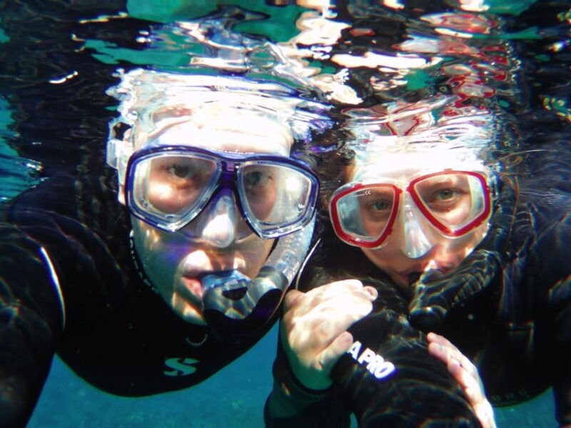 tenerife-exclusive-snorkeling-trip-with-marine-biologist
